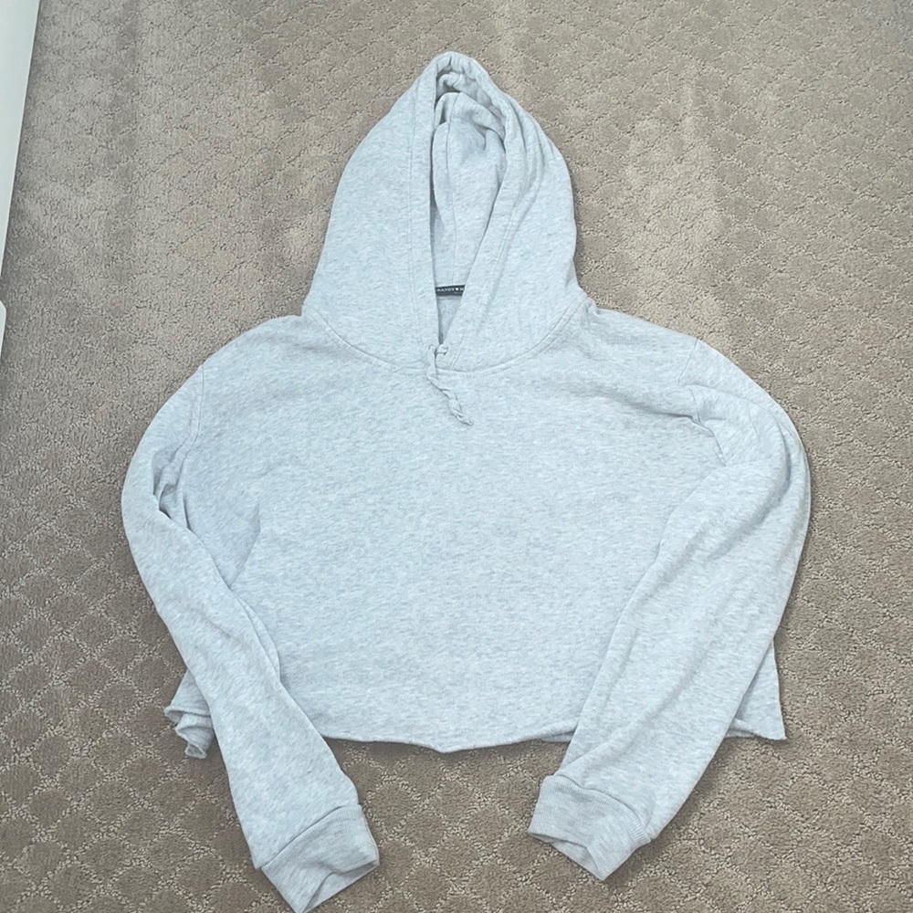 BRANDY MELVILLE CROPPED SWEATSHIRT